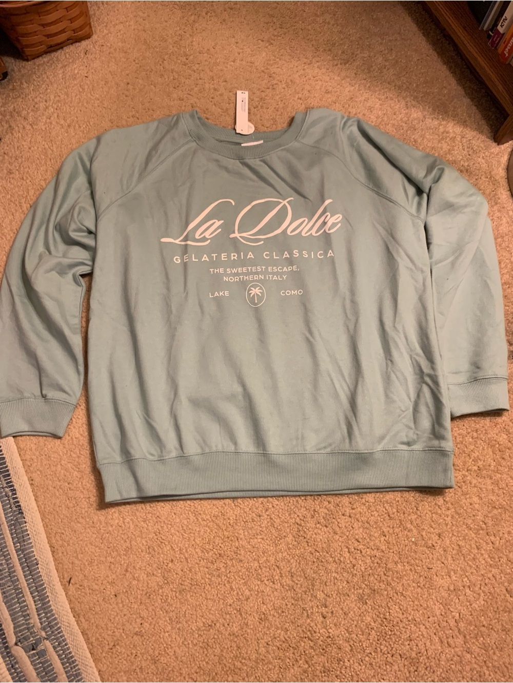 Wallflower Seafoam Crewneck Sweatshirt with White Script
